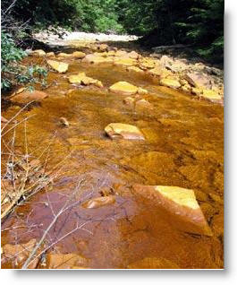 West Virginia to lose NPDES Authority