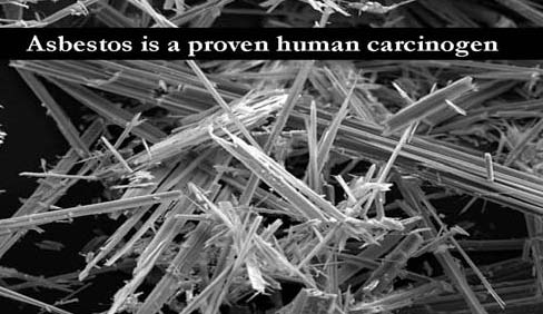 Asbestos is Human Carcinogen