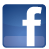 Facebook Icon (sml)