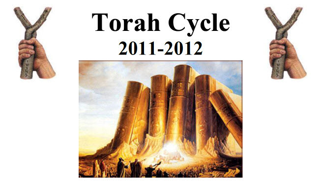Torah cycle