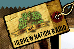 HN Radio logo3
