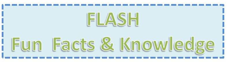 Flash fun facts and knowledge