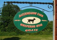 Marsh Meadow Farm