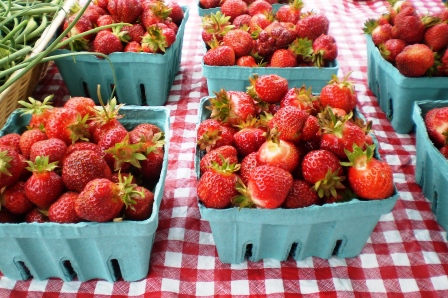 Strawberries galore- White Oak Farm