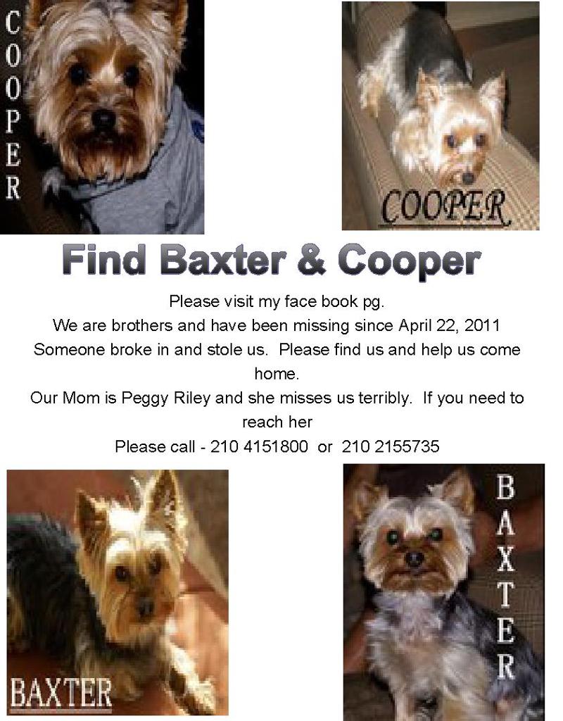 Baxter and Cooper Flyer