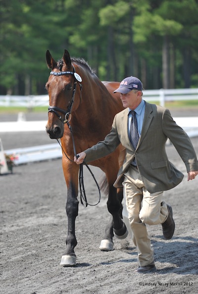 Kai Handt jogging Silvano for Jonathan Wentz at 2012 USEF Paralympic Selection Trials/ National Championships by Lindsay Y McCall