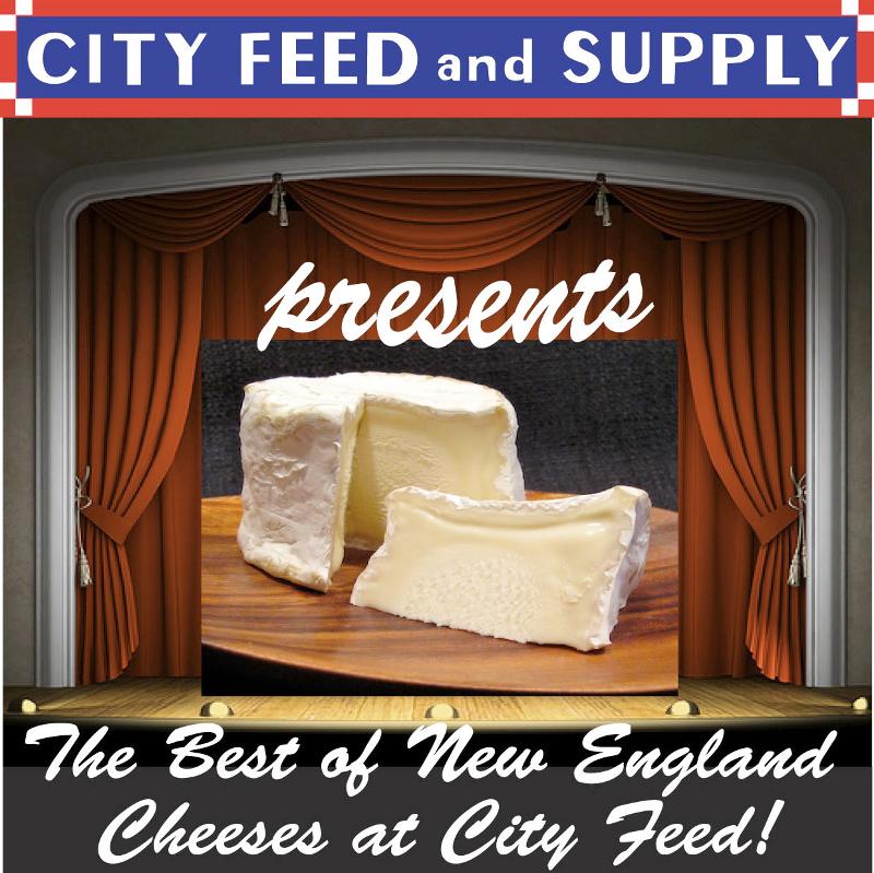 The Best of New England Cheese no text