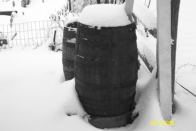 frozen rain barrel
