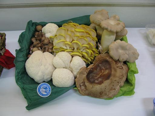 mushrooms farm show