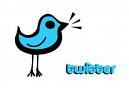Twitter icon.bird