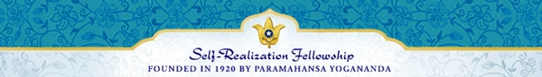 SRF Newsletter Banner