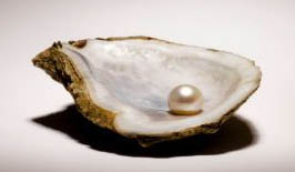 Pearl From A Shell