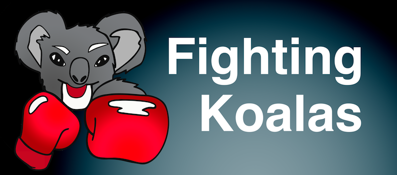 fighting koalas