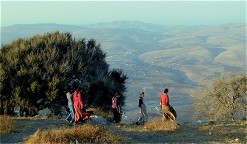People Walking with a mountain background