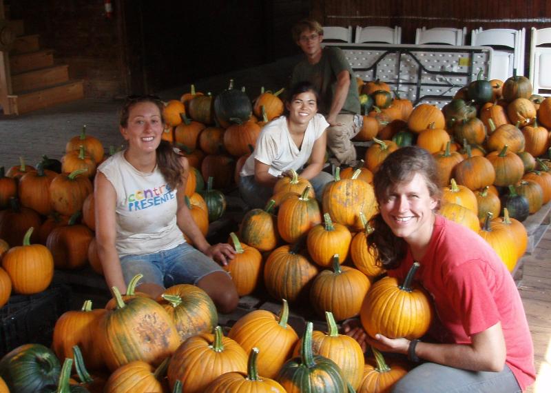 Field Crew w Pumpkin harvest 2012
