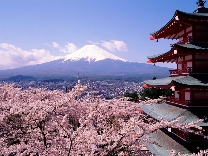 Fuji & Sakura