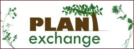 odette plant xchg logo