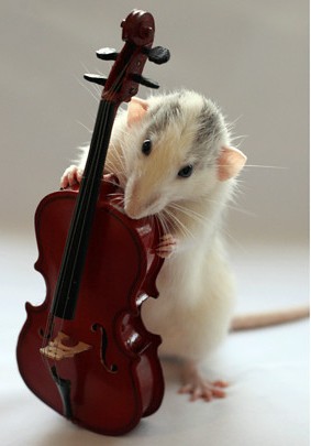 Mouse with Cello