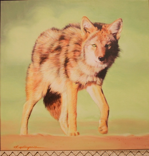 Caplinger Coyote on Lime