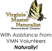 VMN Volunteers