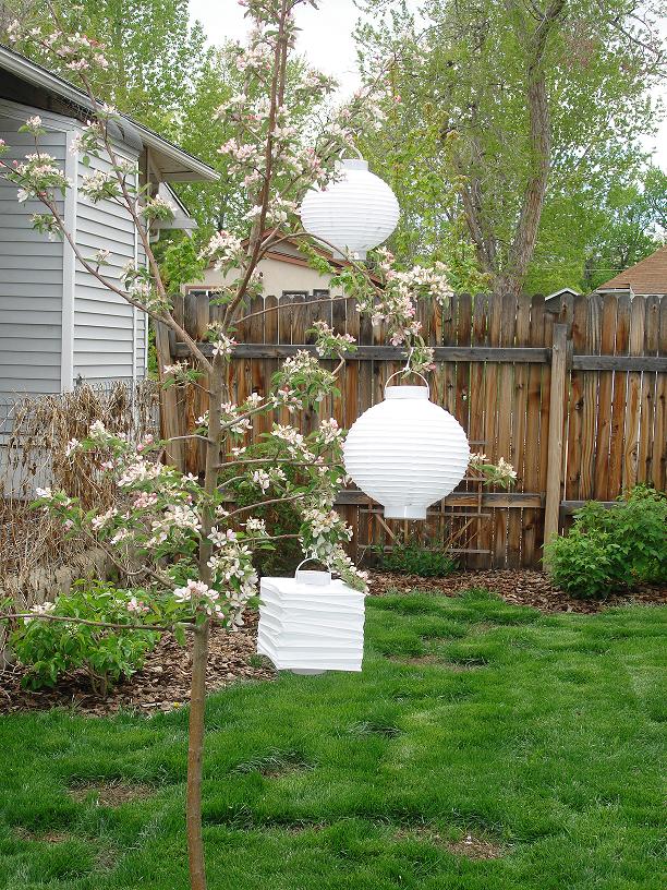 backyard wedding lanterns