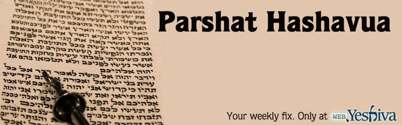 Parshat Hashavua with Rabbi David Sedley