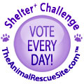 ARS Shelter Challenge button