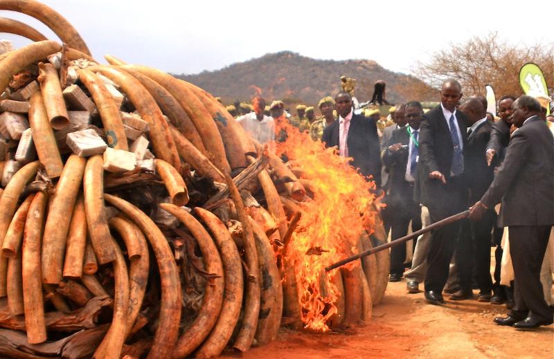 Kibaki lights ivory