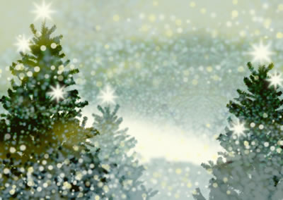 sparkling-snowy-trees.jpg