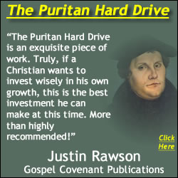 Martin Luther graphic with Rawson Gospel Covenant Puritan Hard Drive Review