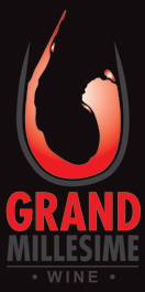 GM Logo New