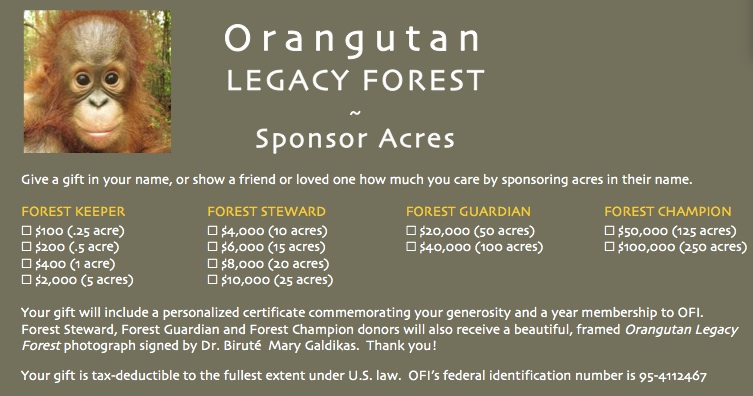 Orangutan Legacy Forest Giving Levels