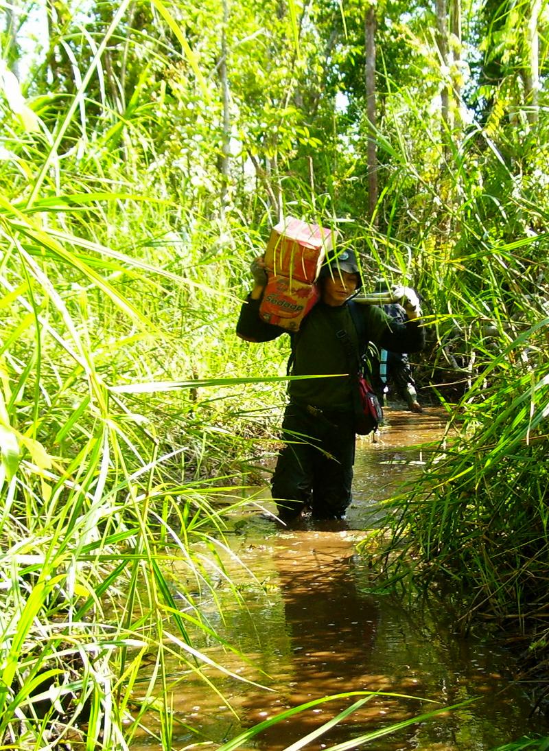 OFI staff make their way through the wet jungle.