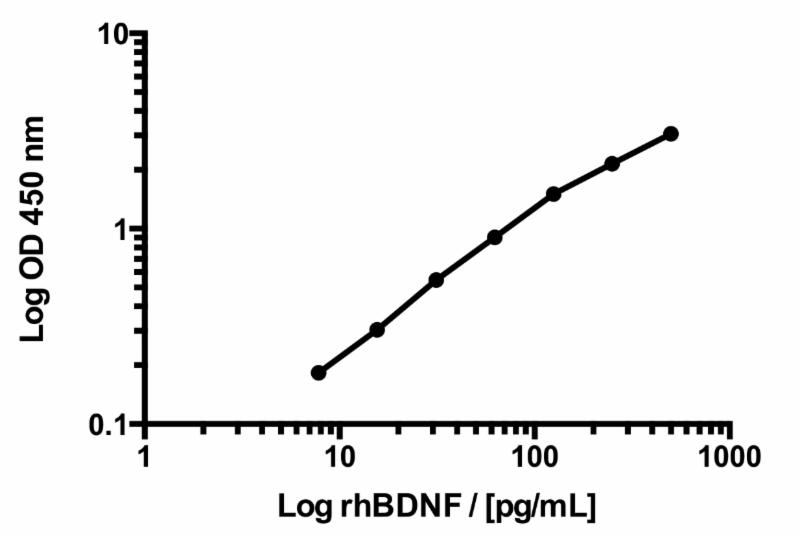 BDNF standard curve