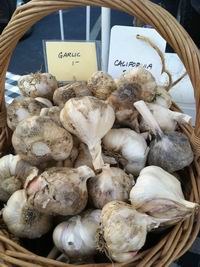 Gorgeous garlic