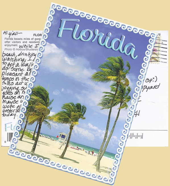 Florida Palms Postcard to the Schooner American Eagle