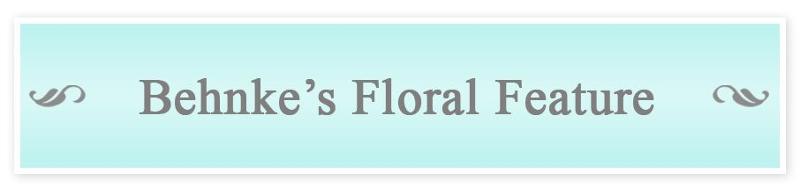 Flora Feature
