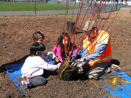 young tree planters