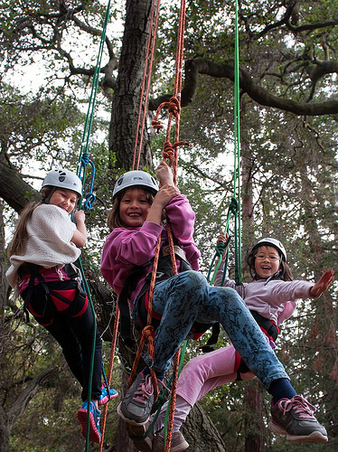 Girls climbing trees