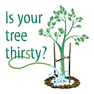 Is Your Tree thirsty?