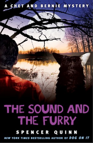 THE SOUND AND THE FURRY by Spencer Quinn