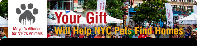 Your Gift Will Help NYC Pets Find Homes