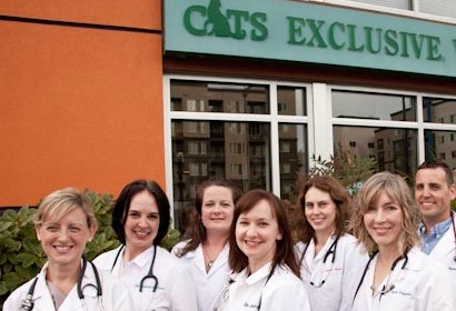 Cats Exclusive Doctors