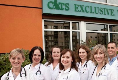 Cats Exclusive Doctor Team