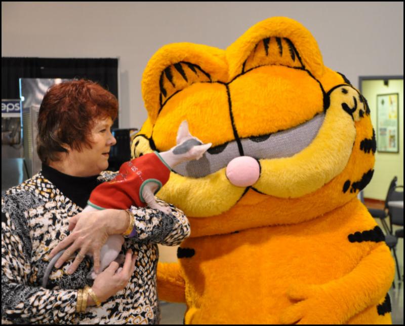 DeeDee Cantley's Sphynx checks out Garfield!