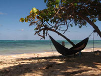 hammock-beach-reading