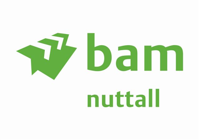 BAM Logo 2013