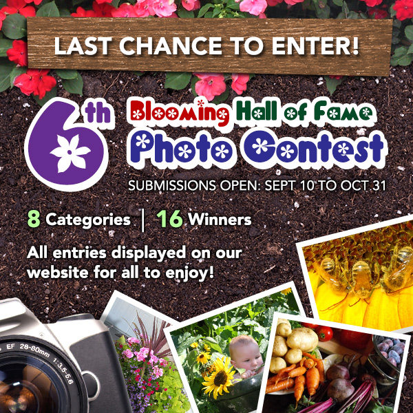 6th Annual Blooming Hall of Fame Photo Contest - Last Chance to Enter