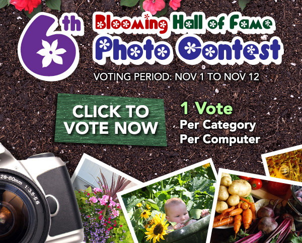 6th Annual Blooming Hall of Fame Photo Contest - Vote Now