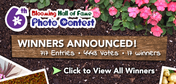 6th Blooming Hall of Fame 2012 Winners Announced